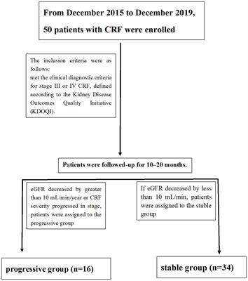 Horizontal analysis and longitudinal cohort study of chronic renal failure correlates and cerebral small vessel disease relationship using peak width of skeletonized mean diffusivity